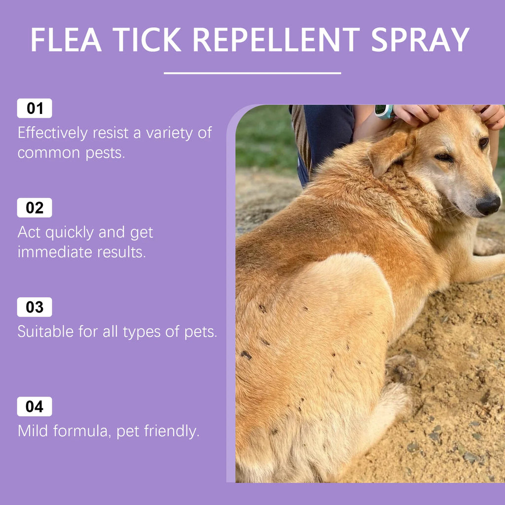 Dream Tune Purr Flea & Tick Repellent Spray 50ml