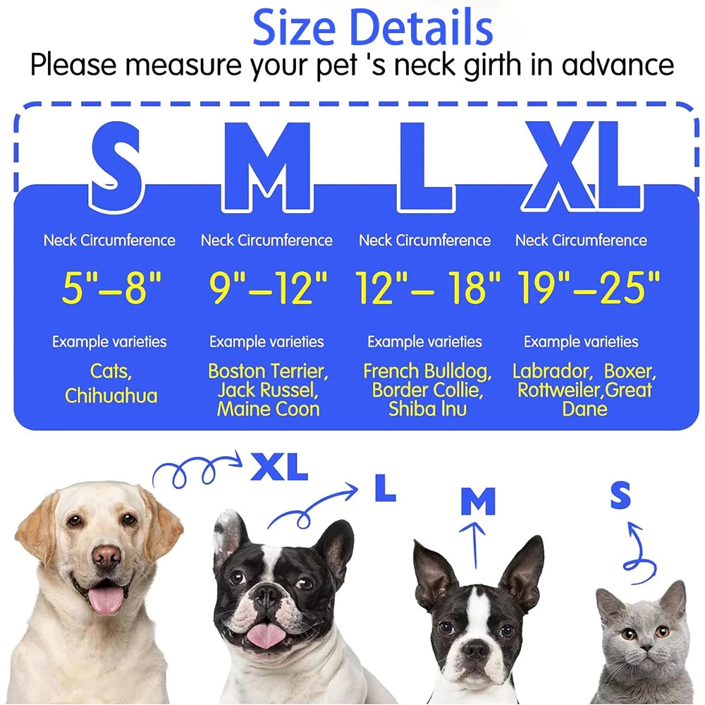 Dream Tune Purr Inflatable Recovery Collar for Dogs & Cats