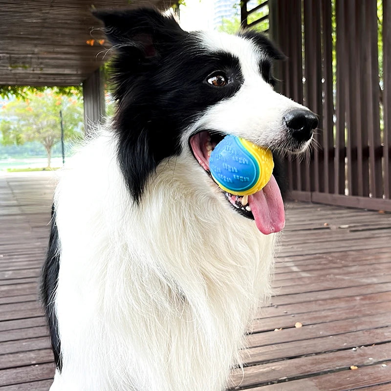 Dream Tune Purr Squeaky Ball Chew Toy