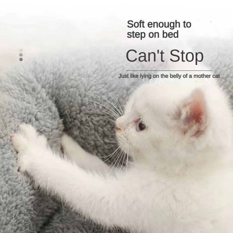 Dream Tune Purr Plush Pet Bed Mattress with Pillow