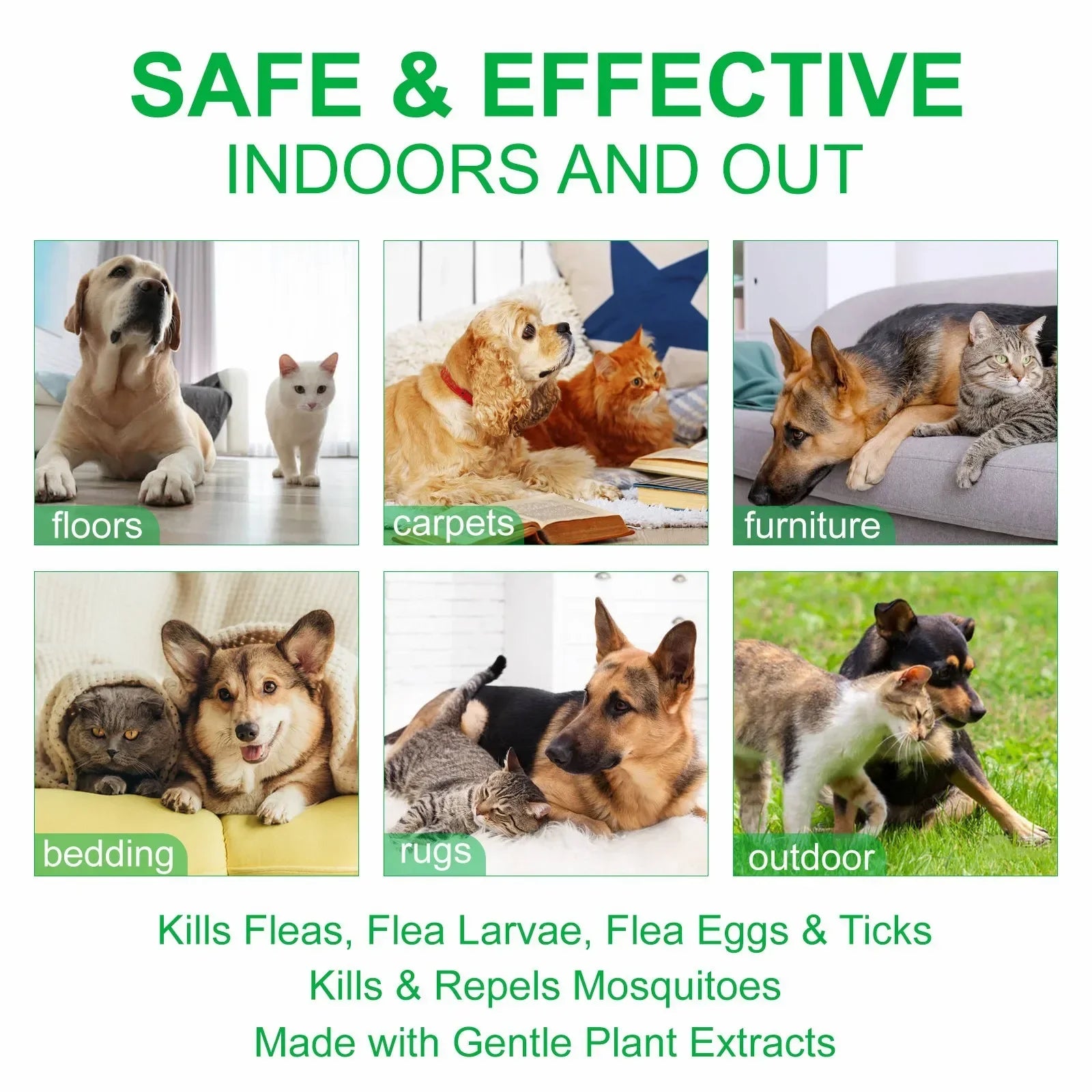 Dream Tune Purr Flea & Tick Spray with Peppermint Oil